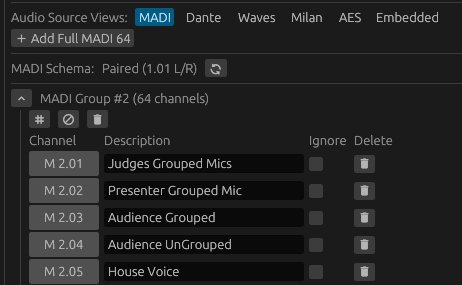 audio channel showing edit, description, and ignore options