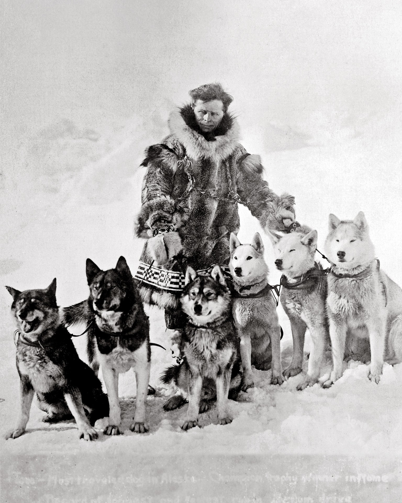 Leonhard Seppala with his sled dog team in 1925 — Togo stands at the far left